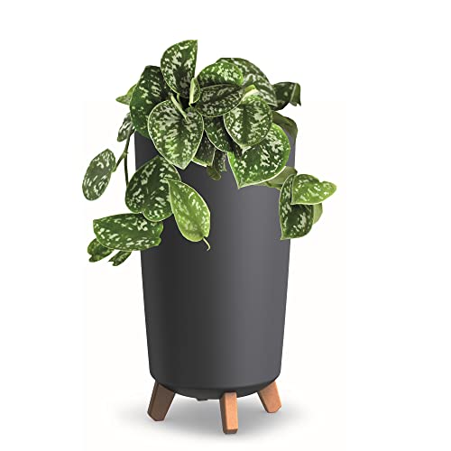 botle Blumentopf mit Füßen HOH Tube Pflanzkübe D 20 cm aus Kunststoff Matte Anthrazit Übertöpfe botle Blumentopf mit Füßen HOH Tube Pflanzkübe D 20 cm aus Kunststoff Matte Anthrazit Übertöpfe von botle