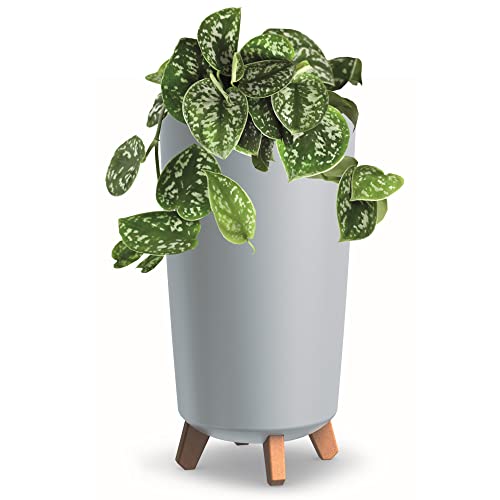 botle Blumentopf mit Füßen HOH Tube Pflanzkübe D 24 cm aus Kunststoff Matte Grau Übertöpfe botle Blumentopf mit Füßen HOH Tube Pflanzkübe D 24 cm aus Kunststoff Matte Grau Übertöpfe von botle