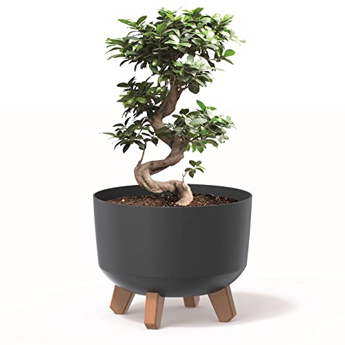 botle Blumentopf mit Füßen Pflanzkübel D 24 cm Kunststoff Anthrazit Töpfe mit Einsatz matt Übertöpfe Geldbaum Kakteen Gummibaum Glücksfeder von botle