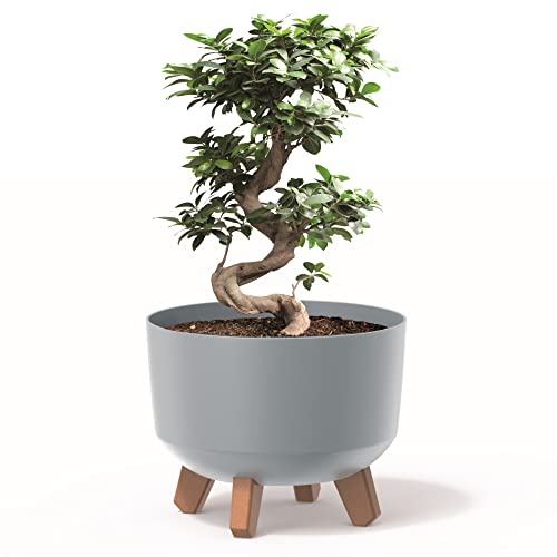 botle Blumentopf mit Füßen Pflanzkübel D 24 cm Kunststoff Grau Töpfe mit Einsatz matt Übertöpfe Geldbaum Kakteen Gummibaum Glücksfeder von botle