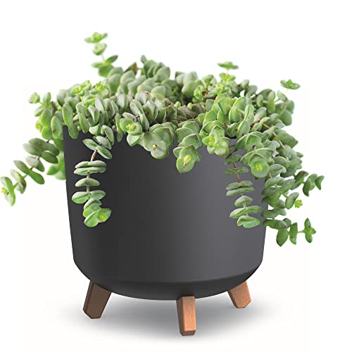 botle Blumentopf mit Füßen Weiß Matte Pflanzkübe D 30 cm Kunststoff Töpfe HOH Übertöpfe Geldbaum Kakteen Gummibaum Glücksfeder von botle