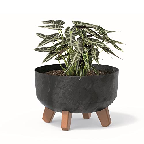 botle Bonsai Schale Baum Mini Garten Blumentopf an den Füßen Pflanzkübel D 23,5 cm Anthrazit Kunststoff Töpfe mit Einsatz Beton Optik Übertöpfe von botle