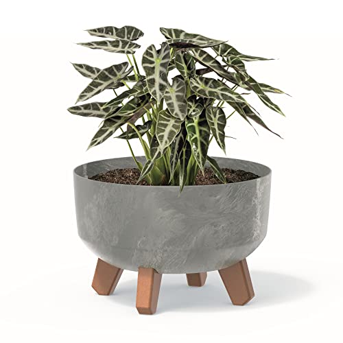 botle Bonsai Schale Baum Mini Garten Blumentopf an den Füßen Pflanzkübel D 23,5 cm hell Grau Kunststoff Töpfe mit Einsatz Beton Optik Übertöpfe Kakteen von botle