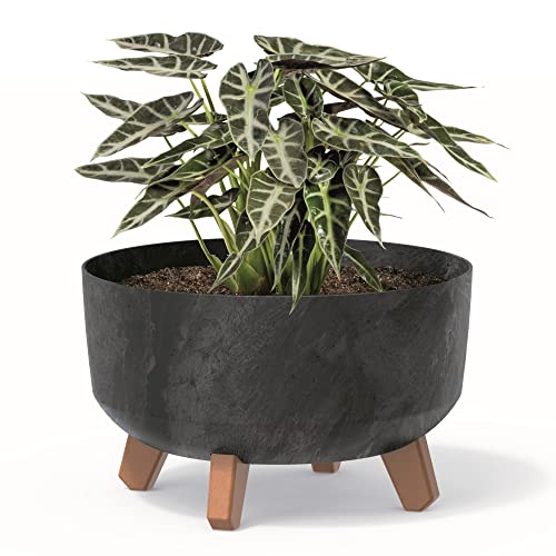 botle Bonsai Schale Baum Mini Garten Blumentopf an den Füßen Pflanzkübel D 28,5 cm Anthrazit Kunststoff Töpfe mit Einsatz Beton Optik Übertöpfe von botle