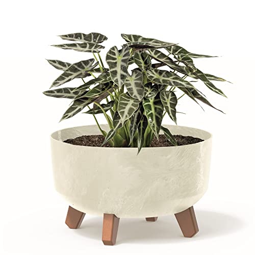 botle Bonsai Schale Baum Mini Garten Blumentopf an den Füßen Pflanzkübel D 28,5 cm Cremig Kunststoff Töpfe mit Einsatz Beton Optik Übertöpfe von botle