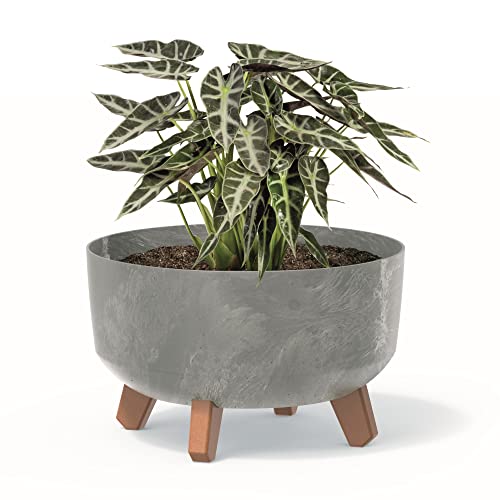 botle Bonsai Schale Baum Mini Garten Blumentopf an den Füßen Pflanzkübel D 28,5 cm hell Grau Kunststoff Töpfe mit Einsatz Beton Optik Übertöpfe von botle