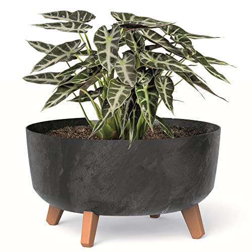 botle Bonsai Schale Baum Mini Garten Blumentopf an den Füßen Pflanzkübel D 38 cm Anthrazit Kunststoff Töpfe mit Einsatz Beton Optik Übertöpfe von botle