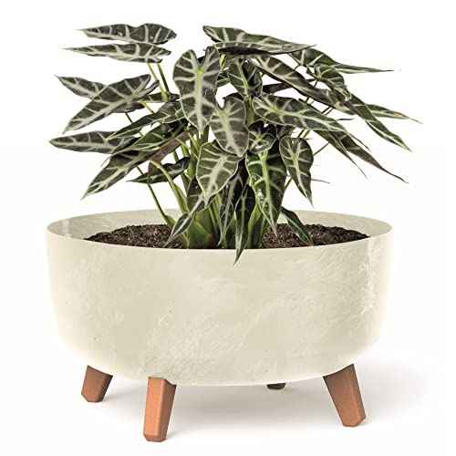 botle Bonsai Schale Baum Mini Garten Blumentopf an den Füßen Pflanzkübel D 38 cm Cremig Kunststoff Töpfe mit Einsatz Beton Optik Übertöpfe von botle