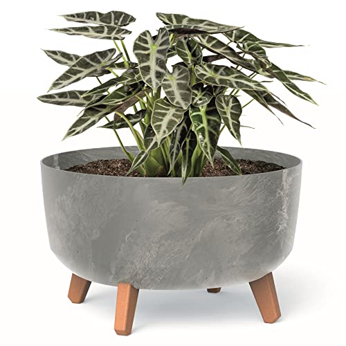 botle Bonsai Schale Baum Mini Garten Blumentopf an den Füßen Pflanzkübel D 38 cm hell Grau Kunststoff Töpfe mit Einsatz Beton Optik Übertöpfe von botle