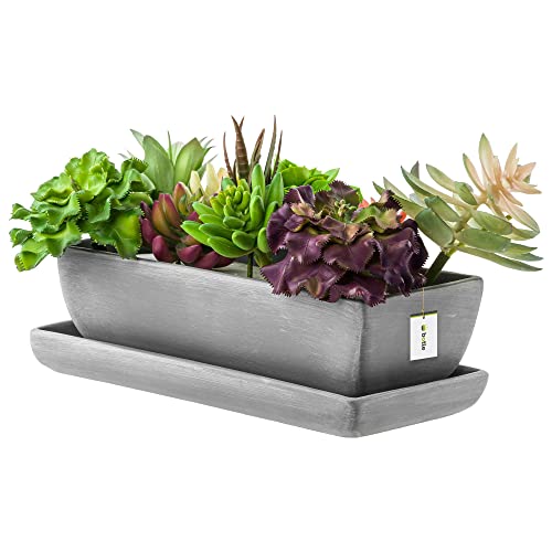 botle Keramik Blumentopf Blumenschale Kakteenschale Untersetzer Wasserloch Kakteen Bonsai Sukkulenten (rechteckig, dunkler Beton) von botle