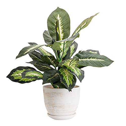 Keramik Blumentopf Übertopf Keramik 305 mm Schale hell Beton grau Pflanzschale inkl. Untersetzer Keramikschüssel von botle