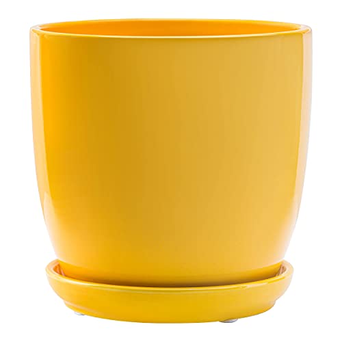 botle Klassischer Blumentopf Keramik Rund Glasiert Untersetzer mit Loch 5 Farben Weiß Gelb Grün Hellblau Betongrau 5 Größen D 13 15 17 18 20 24cm (Gelb, Höhe 12 cm) von botle