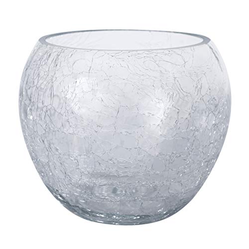 botle Orchideentopf Glas Kugel rund Übertopf Blumentopf Pflanzgefäß D 15 cm H 13 cm von botle