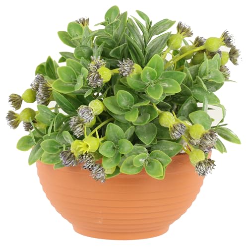 botle Pflanzschale Runder Pflanztopf 0,5 L Terrakotta Ø 13 cm Kunststoff, für Blumenarrangements, Höhe 7 cm von botle