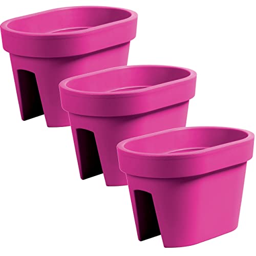 botle Satz von 3 Stück Balkonkiste Blumenkasten Geländerkasten Balkonkasten Geländertopf 39,5 cm | 12,3 L Fuchsia Balkon-Blumenkasten oval von botle