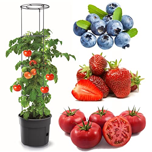 botle Tomatenpflanze Blumentopf für Tomaten Pflanzkübel 28 L, Tomatenzüchter, Tomatentopf, Übertopf, Gemüsen, Tomaten Waschende von botle