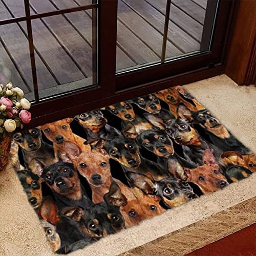 Eingangsteppich EIN Haufen Zwergpinscher, Hundeliebhaber Rückseite Fußabtreter Lustige Komfortabel Fußabtreter Für Wohnzimmer Außen Badezimmer 40X60Cm von bozhoushihuijingbaihuoyouxiangongsi