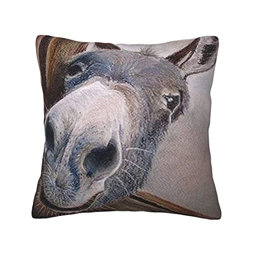 Quadrat Kissen Fall Lustiger Esel Kissenbezüge Dauerhaft Kissen-Bezug Modern Kissenhülle 45X45Cm Für Couch Zimmer Schlafzimmer Büro von bozhoushihuijingbaihuoyouxiangongsi