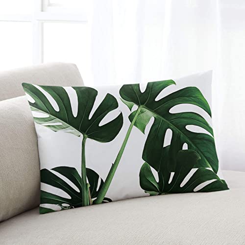 Kissenbezüge Monstera Hinterlässt Tropische Pflanzen Grünes Blatt Zierkissenbezüge Waschbar Outdoor Kissenbezug Wohnkultur Sofa Dekoratives Kissenbezüge, Für Büro, Lounge, 40x60cm von bozhoushilaitongshangmaoyouxiangongsi