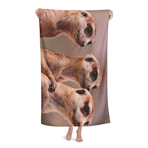 Mikrofaser Strandtuch Tier DREI Braune Erdmännchen Fitnesshandtuch Bedruckt Strandtücher Weiches Drucktuch, Für Schwimmbad, Reise, Yoga, 70x140cm von bozhoushimatingbaihuoyouxiangongsi