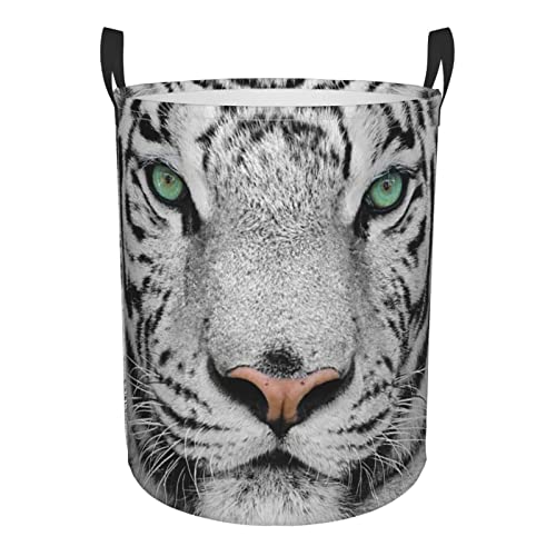 Runder Wäschesammler Weißer Tiger Wäschekorb Faltbar Wasserdicht Wäschekorb Mit Griffen, Für Badezimmer, Bad, Spielzeug Runder Wäschesammler Weißer Tiger Wäschekorb Faltbar Wasserdicht Wäschekorb Mit Griffen, Für Badezimmer, Bad, Spielzeug von bozhoushimatingbaihuoyouxiangongsi