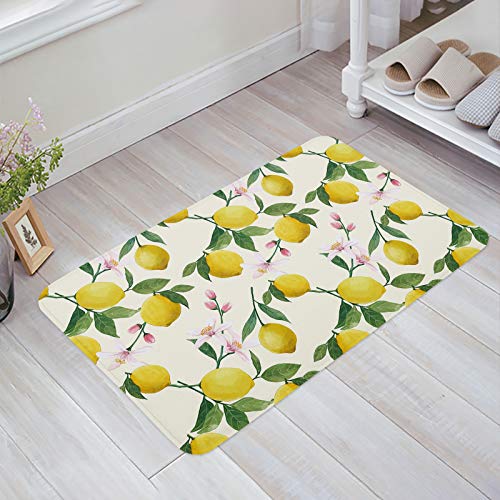 Türmatte 60x40cm, Sommergelbe Zitrone Mit Blättern Und Blüten Welcome Fußmatte Modernen Innenmatte Langlebig Fußmatte Innen, Für Flur, Eingang Türmatte 60x40cm, Sommergelbe Zitrone Mit Blättern Und Blüten Welcome Fußmatte Modernen Innenmatte Langlebig Fußmatte Innen, Für Flur, Eingang von bozhoushimatingbaihuoyouxiangongsi