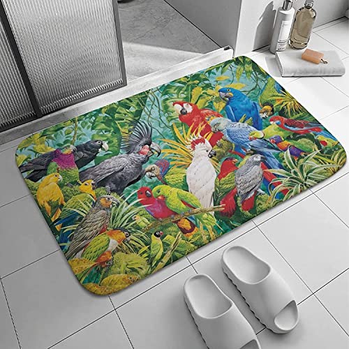 Türmatte Schöner Papagei Teppich Stylisch Flacher Fußabtreter Langlebig Geschenk Türmatte, Für Flur, Badezimmer, Haustür, 40X60Cm von bozhoushisuhangbaihuoyouxiangongsi