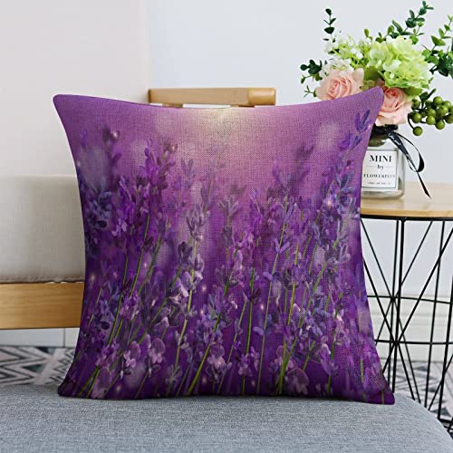 Kissen Fall 45X45Cm Violetter Lavendel-Feld-Blühender Blumen-Sonnenuntergang Throw Kissenbezüge Quadratische Kissenbezug Resistent Deko Kissenbezug Für Auto Outdoor Kissen von bozhoushixiangbenshangmaoyouxiangongsi