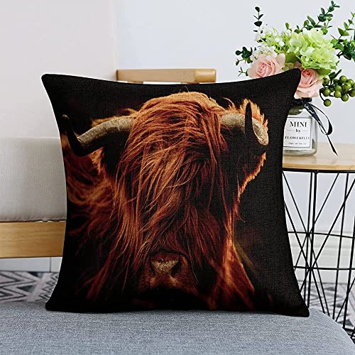 Kissenhülle 45X45Cm Highland Kühe Rinder Ackerland Tier Sofakissen Bezug Resistent Kissenbezüge Stilvolles Throw Kissenbezüge Für Garten Bed Cafe von bozhoushixiangbenshangmaoyouxiangongsi