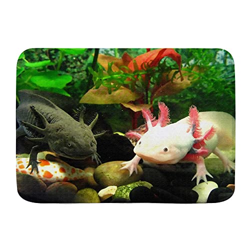 Badteppich Das Axolotl-Fisch-Design 40X60Cm Fußmatte Schmutz Widerstehen Rutschhemmender Sauberlaufmatte Für Außen Flur von bozhoushiyangshangshangmaoyouxiangongsi
