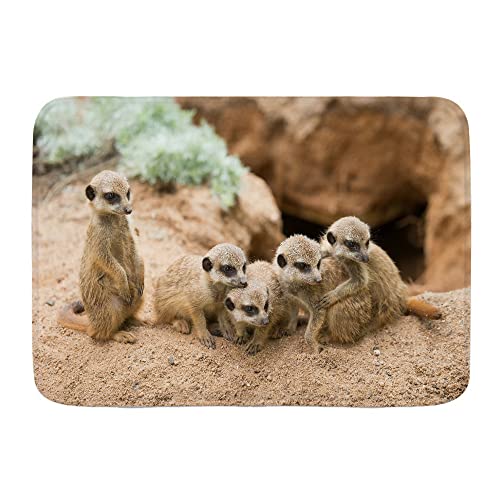 Badvorleger Tier Wildtier Erdmännchen In Der Prairie Cave 40X60Cm Fußabtreter Pflegeleichte Lustige Rückseite Fußabtreter Für Schlafzimmer Küche von bozhoushiyangshangshangmaoyouxiangongsi