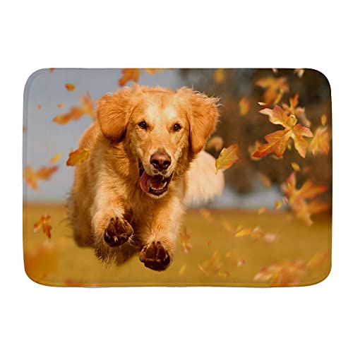 Fussmatte Golden Retriever Hund Springt Durch Blätter 40X60Cm Türmatte Waschbar Pflegeleichte Sauberlaufmatte Für Haustür Wohnzimmer von bozhoushiyangshangshangmaoyouxiangongsi