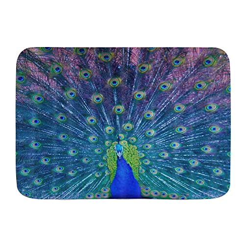 Haustür Fußmatten Hübscher Pfau 40X60Cm Fussmatte Schmutz Widerstehen Wasserabsorbierend Eingangsteppich Für Außen Innen von bozhoushiyangshangshangmaoyouxiangongsi