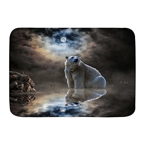 Türvorleger Kühle Eisbär-Dunkle Wolken-Nacht Reflektiert Im Einzigartigen Tier des Wassers 40X60Cm Fußmatte Innen Dauerhaft Waschbar Eingangstürmatte Für Flur Küche von bozhoushiyangshangshangmaoyouxiangongsi