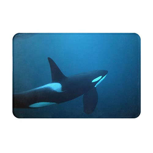 Badematte 40x60cm, Atlantischer Orca Killerwal Orcinus Andenes Wildlife Dorsal Norwegen Ozean Cetacean Fin Fjord Design Fußmatte Innen Wasserabsorbierend Garten Teppich Stylisch Flur Innenmatte von bozhoushizhenweibaihuoyouxiangongsi