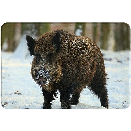 Badematte 40x60cm, Braunes Wildschwein, Stoßzähne Der Bäume, Winter, Schnee, Im Fußmatte Außen Waschbar Wohnzimmer Eingangsteppich Pflegeleichte Haustür Flacher Fußabtreter von bozhoushizhenweibaihuoyouxiangongsi