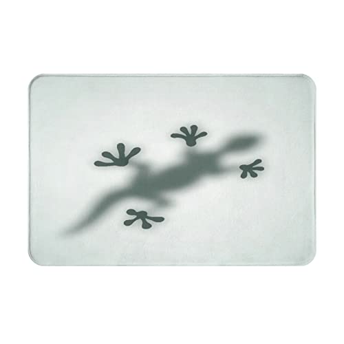 Fussmatte 40x60cm, Gecko Schatten Schmutzfangmatte Pflegeleichte Wohnzimmer Sauberlaufmatte Stylisch Eingang Bodem Fußabtreter von bozhoushizhenweibaihuoyouxiangongsi