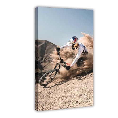 Exklusive Kunst, Extremsport-Abenteuer, Radfahrer, Fabio Wibmer, Freiheit, wild, erstaunlicher Junge, Raumdekoration, Hochformat, Poster, Schlafzimmer, Dekoration, Landschaft, Büro, Raumdekoration Exklusive Kunst, Extremsport-Abenteuer, Radfahrer, Fabio Wibmer, Freiheit, wild, erstaunlicher Junge, Raumdekoration, Hochformat, Poster, Schlafzimmer, Dekoration, Landschaft, Büro, Raumdekoration von bpoejge