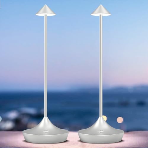 bravzurg LED Akku Tischlampe Kabellos 2er Set, Modern Dimmbar Kabellose Tischleuchte 6000mAh, Aluminium, Wasserdicht, Tischlampen Aufladbar für Outdoor Indoor Restaurant Nachttisch Terrasse (Silber) von bravzurg