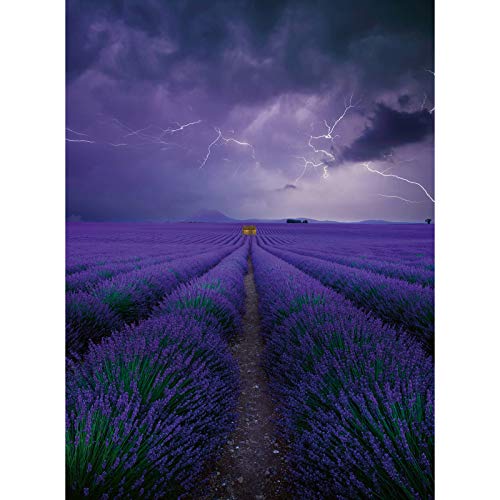 Vlies Fototapete Lavendelfeld | 3D Bildtapete mit Blumenwiese in Gewitter für Schlafzimmer und Esszimmer | Lila Fototapete mit Lavendel und Wolken von BRICOFLOR