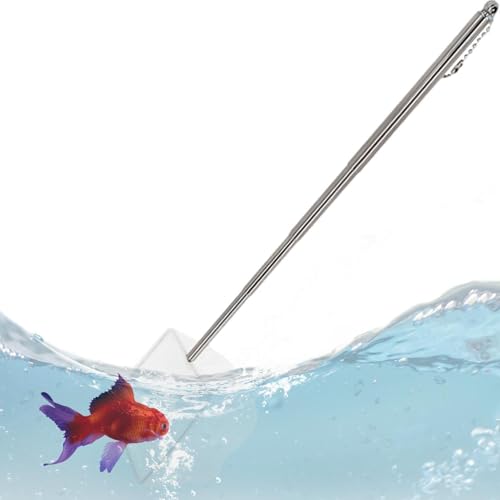 Fischerei Für Aquarium - Einstellbares Griff Aquariumnetz, Kleines Goldfischnetz | - Tropische Fische, Ein Leichtes Design, Das Für Die Verwendung In Kleinen Teichen Pools Geeignet Ist von brooksnaji