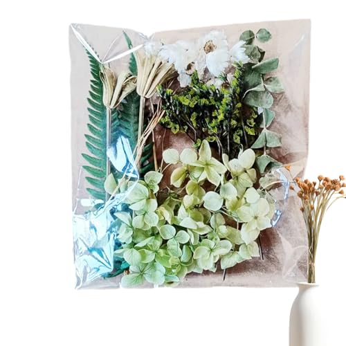 Getrocknete - Natural Erhaltene Blumenblätter -Kit Mit Lebendigen Farben, Perfekt Für Fotorahmen, Harzkunst, Kerzenherstellung Und Handwerksprojekte | A5 -Beutel Mit Gepressten , Geei von brooksnaji