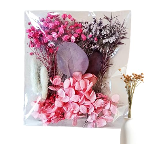 Getrocknete - Natural Erhaltene Blumenblätter -Kit Mit Lebendigen Farben, Perfekt Für Fotorahmen, Harzkunst, Kerzenherstellung Und Handwerksprojekte | A5 -Beutel Mit Gepressten , Geei Getrocknete - Natural Erhaltene Blumenblätter -Kit Mit Lebendigen Farben, Perfekt Für Fotorahmen, Harzkunst, Kerzenherstellung Und Handwerksprojekte | A5 -Beutel Mit Gepressten , Geei von brooksnaji