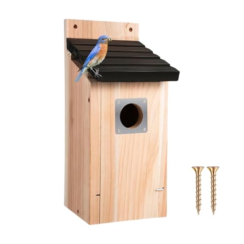 Kolibri-Haus – Naturholz hängende Vogelhütte – Holz wasserdichte Hütte natürliche Heimdekoration für Innenfenster, Innenhof, Rasen, Baum, Garten, Terrasse von brooksnaji