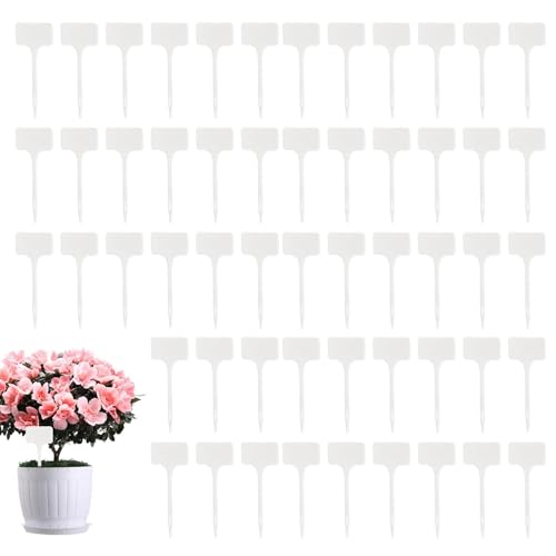 Pflanzennamenspieße, 100 Stück, wasserdicht, Sämling-Markierschild, T-Typ, Kinderzimmeretiketten, beschreibbare Pflanzenmarkierungsstäbe für Gewächshäuser, Rasen, Terrasse, Gartenprojekte Pflanzennamenspieße, 100 Stück, wasserdicht, Sämling-Markierschild, T-Typ, Kinderzimmeretiketten, beschreibbare Pflanzenmarkierungsstäbe für Gewächshäuser, Rasen, Terrasse, Gartenprojekte von brooksnaji