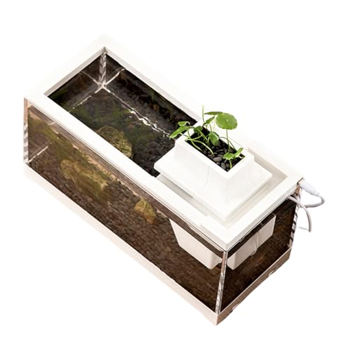 Tabletop - Low -Volt -Stummschalter, Zieraquarium Mit LED -Leuchten | EIN Kompaktes Mit Einer Breiten Mundstruktur Und Leckpräventionsfunktion, Die In Schlafzimmern, Wohnzim Tabletop - Low -Volt -Stummschalter, Zieraquarium Mit LED -Leuchten | EIN Kompaktes Mit Einer Breiten Mundstruktur Und Leckpräventionsfunktion, Die In Schlafzimmern, Wohnzim von brooksnaji