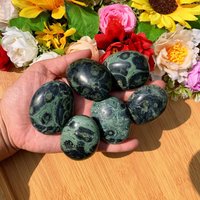 Polished Green Kambaba Jasper Palm Stone, Tumbled, Galaxy Jasper, Orbicular Worry Pcoket Christmas Gift von brosscrystal