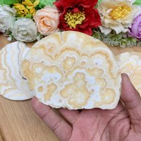 Yellow Calcite Polished Semicircle Slab With Free Stand- 4" Crystal Slice Home Decor - Housewarming Gift Gifts For Loved Ones von brosscrystal