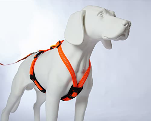 Feltmann Hundegeschirr Mantrailing/Suchgeschirr Profi - Super Soft, Neonorange, reflektierend, Bauchumfang 70-90 cm, 25 mm Bandbreite Feltmann Hundegeschirr Mantrailing/Suchgeschirr Profi - Super Soft, Neonorange, reflektierend, Bauchumfang 70-90 cm, 25 mm Bandbreite von brustgeschirr.com