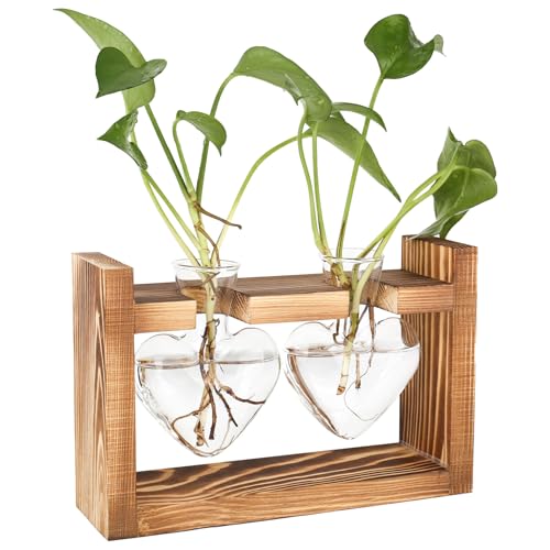 bssmmai Glas Propagation Station für Pflanzen,Vintage Vasen Deko mit Holz Rahmen Set für Home Wohnzimmer Büro Regal Tischdeko Fensterbank - Hydrokultur Blumenvase Klein Plant Terrarium für Blumen HYD von bssmmai